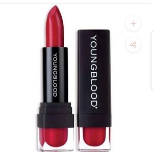 Youngblood mineral makeup lipstick in Sinful